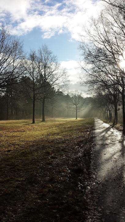 Seksparkeerplaats en Buitenseks in Robbenoordbos in Den Oever