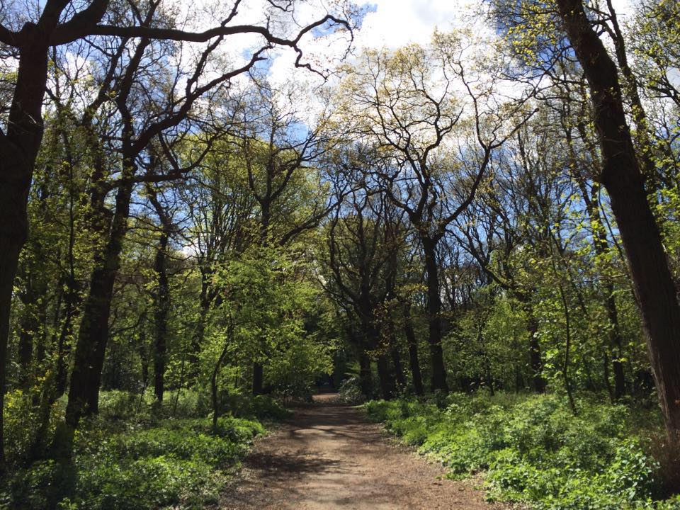 Buitenseks lokatie Meern en Bos Den Haag