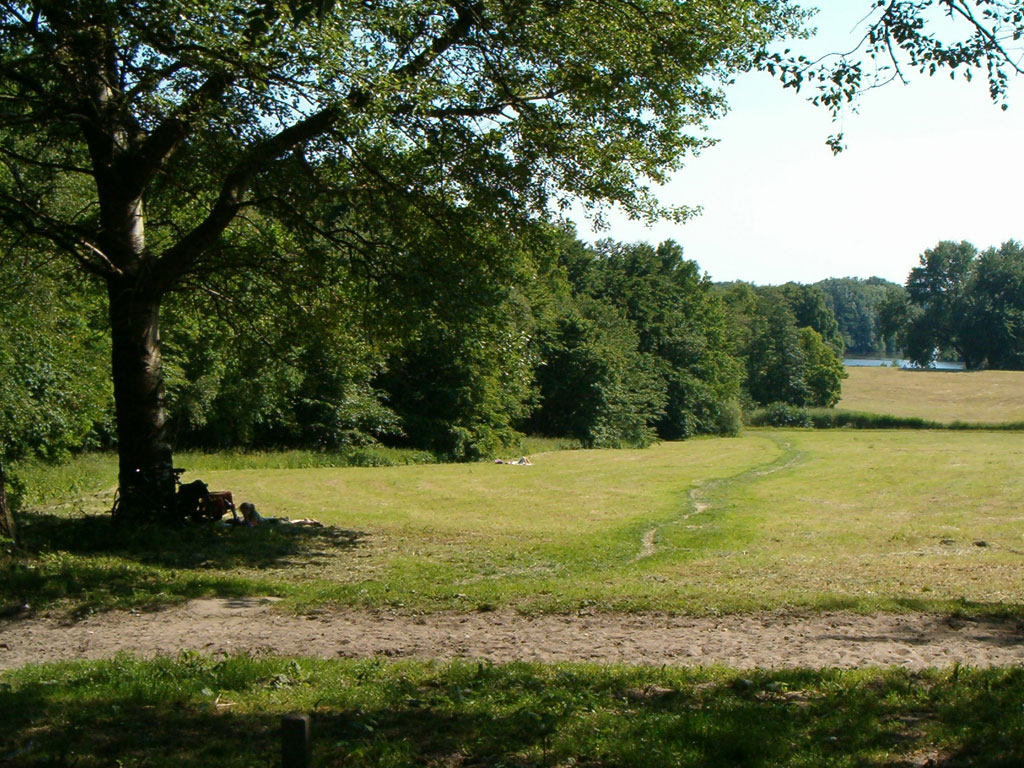 Seksparkeerplaats en buitenseks in Amsterdamse Bos in Amsterdam