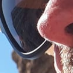 Profielfoto