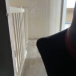 Profielfoto van Koel