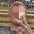 Profielfoto van Henk