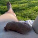 Profielfoto van Michel