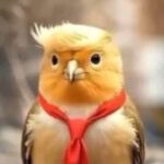 Profielfoto van jeff