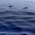 Profielfoto van Karel