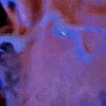 Profielfoto van Pijp Graag