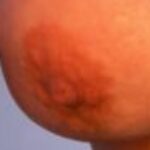 Profielfoto van SteveOne