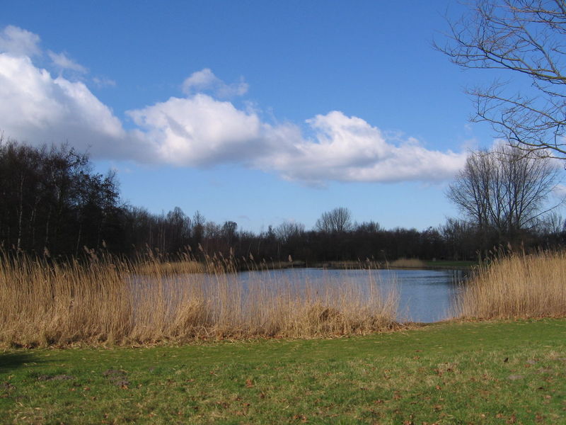 Seksparkeerplaats en Naaktstrand Wilhelminapark in Rijswijk